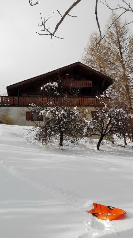 Bel Appartement Au Rez De Chaussee D'Un Chalet Jarrier Kültér fotó
