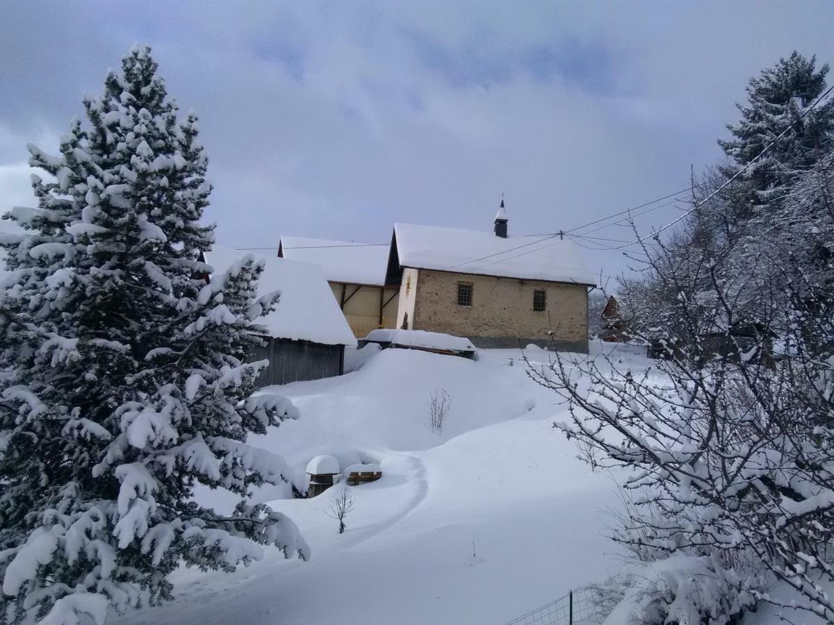 Bel Appartement Au Rez De Chaussee D'Un Chalet Jarrier Kültér fotó